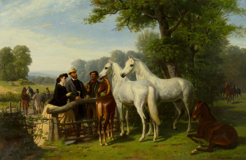 Coverage map placeholder